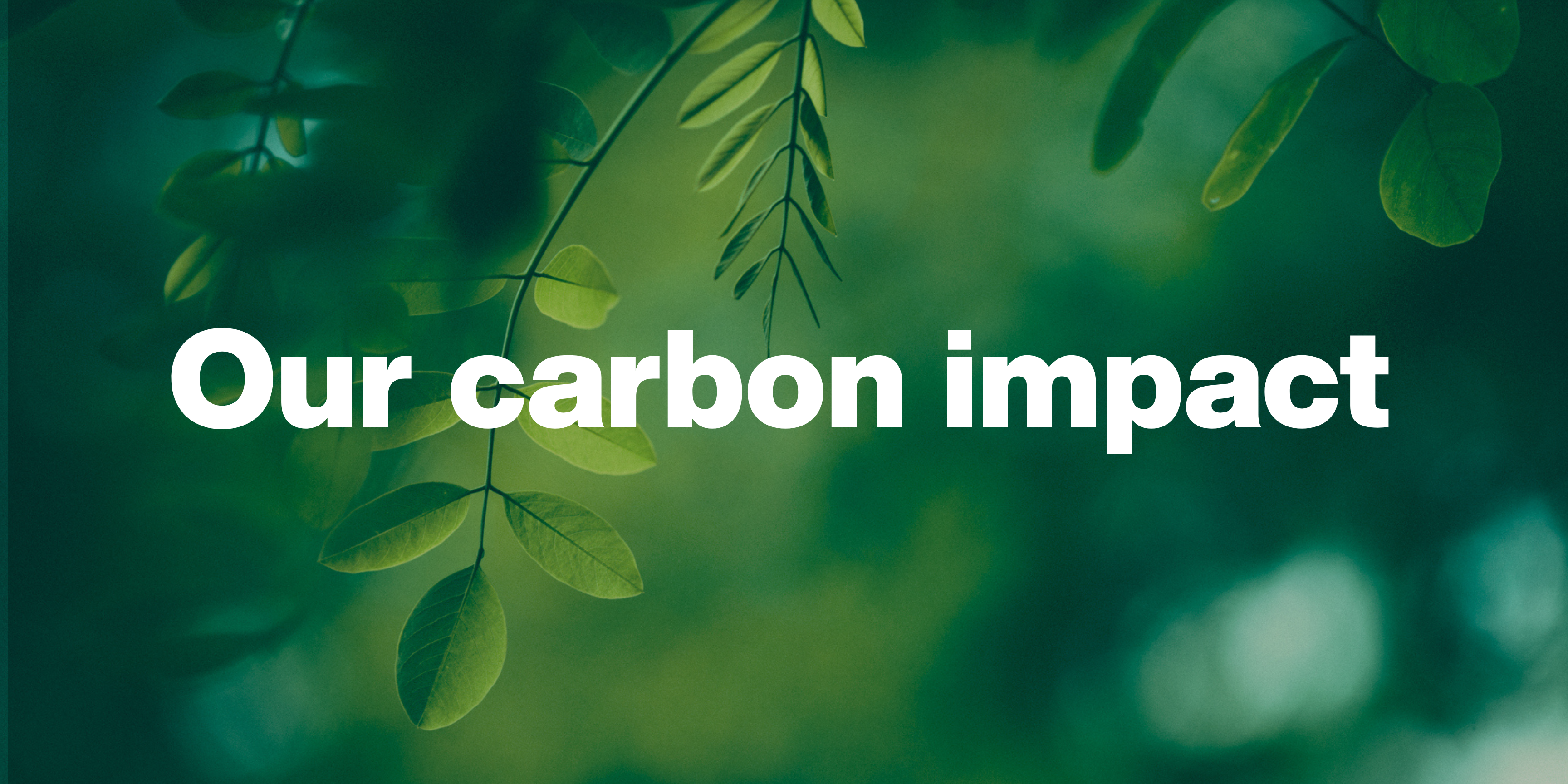 Our carbon impact (1)